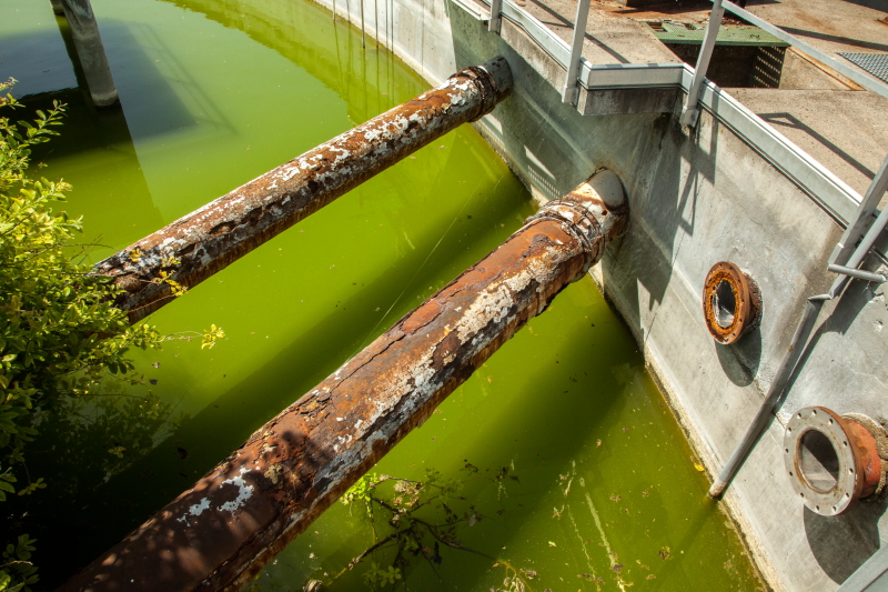 2014 06 09 Papeterie  IMG 9143